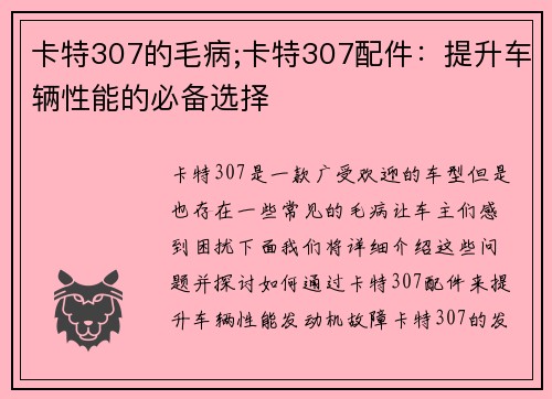 卡特307的毛病;卡特307配件：提升车辆性能的必备选择